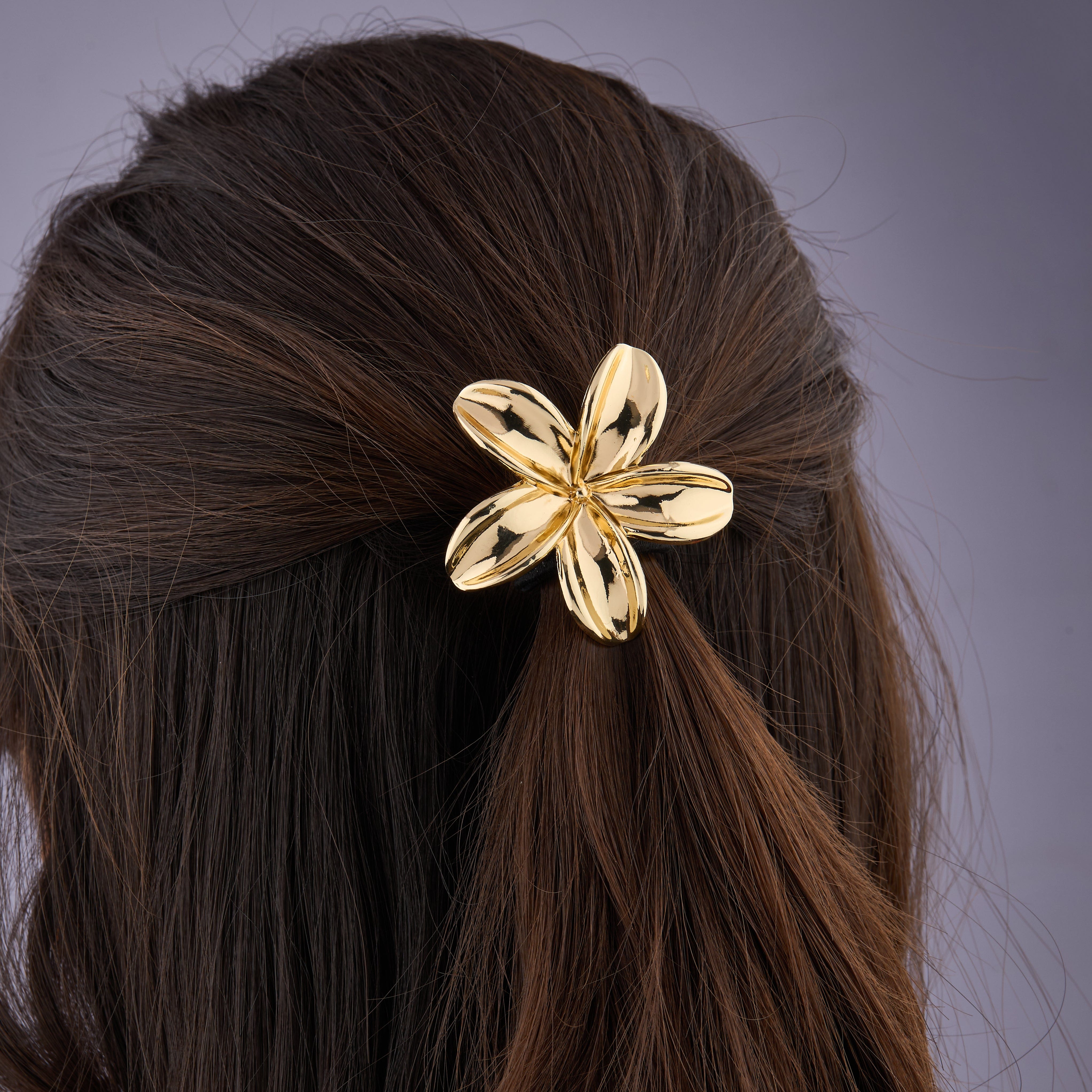Crown d'Or Barrette