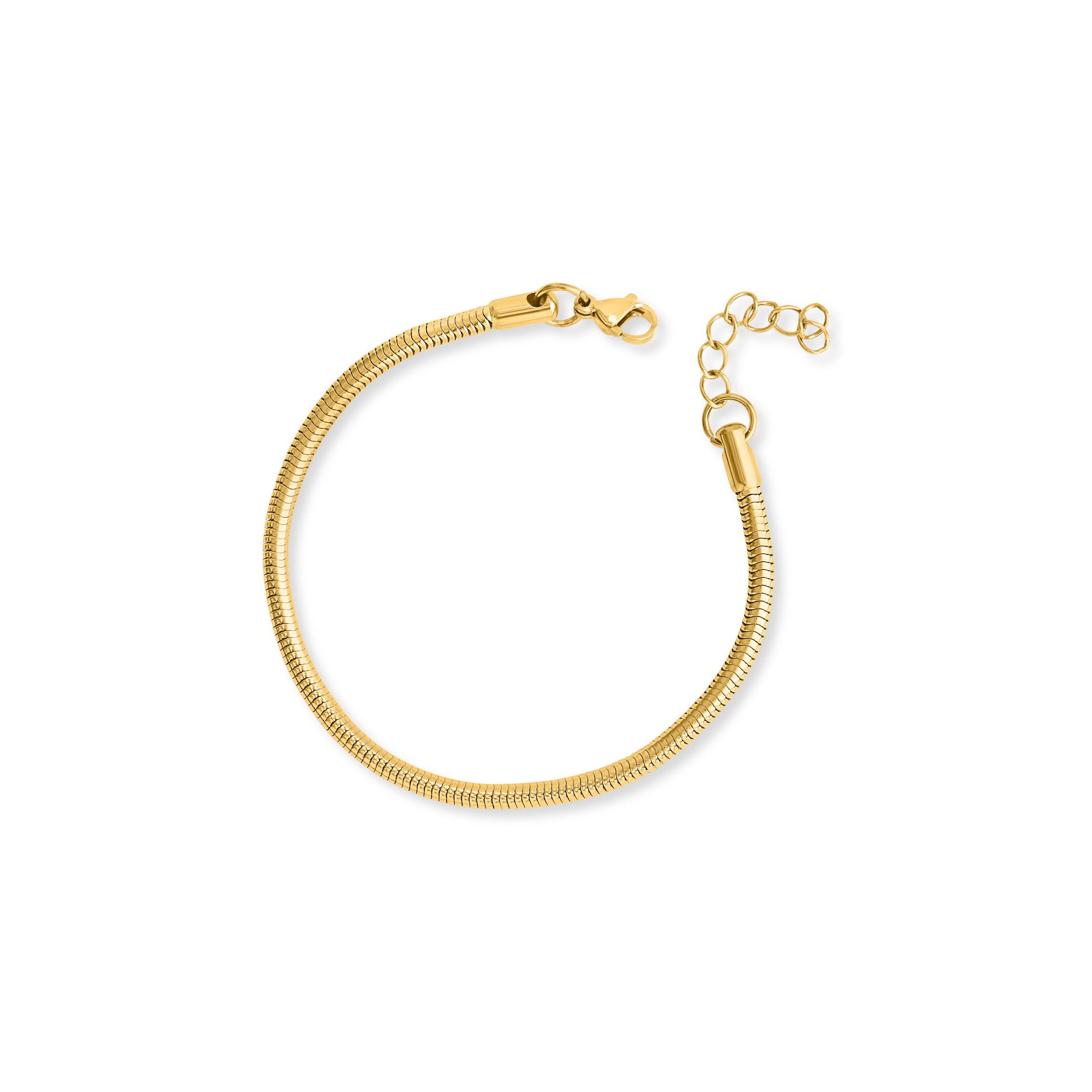 Destiny Snake Bracelet